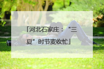 河北石家庄：“三夏”时节麦收忙